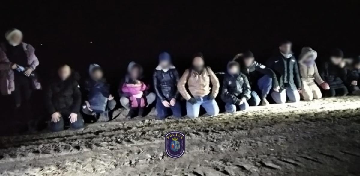 Hercegszántónál 12 illegális migráns bujkált a sötétben