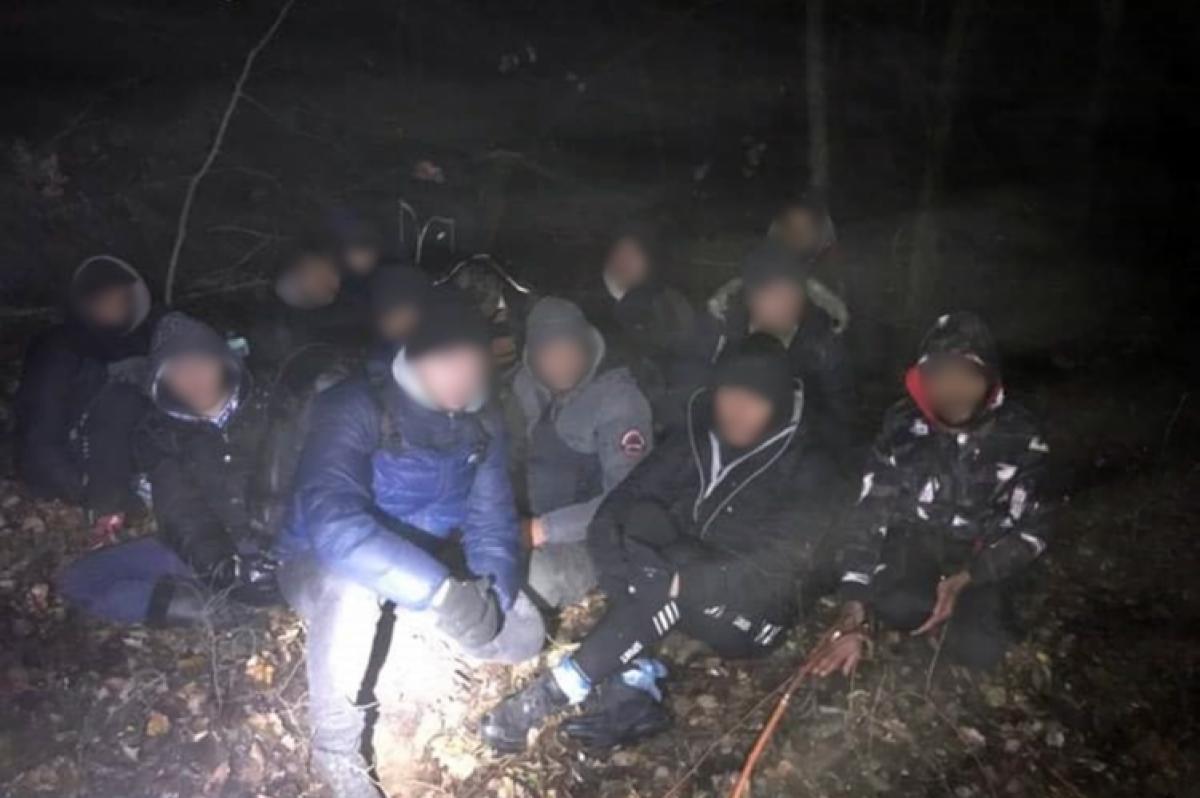 77 illegális migráns lopakodott a fák között