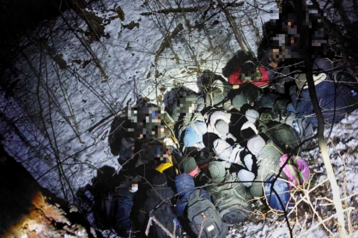 Az éj leple alatt: 109 migránst fogtak el a katonák és a rendőrök