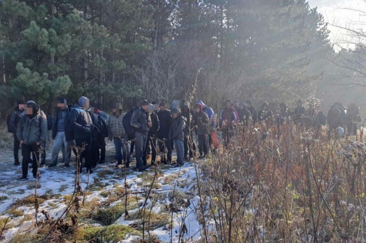 A havas bokrok alatt bujkált 46 illegális migráns