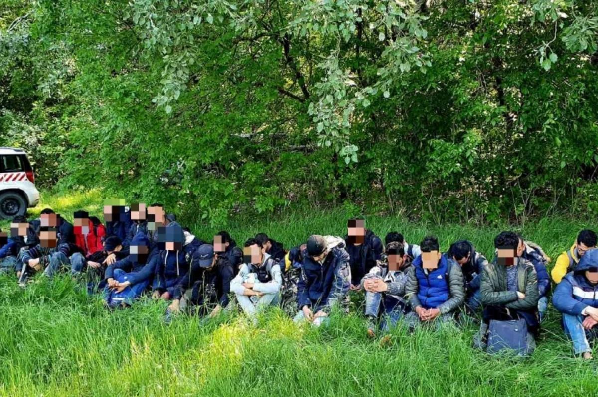 Álprobléma: 34 fős migránsbanda Szegednél