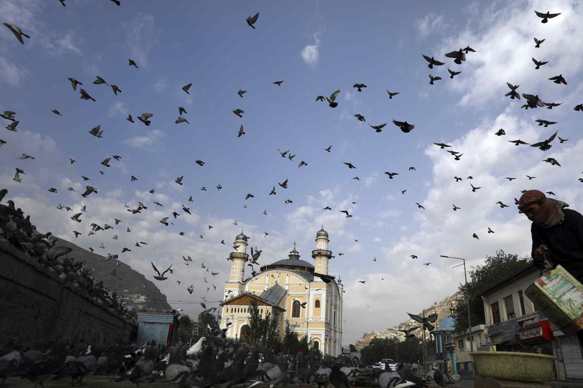 Önsorsrontás: Németország finanszírozta a radikális iszlám fészkének számító afgán mecsetet