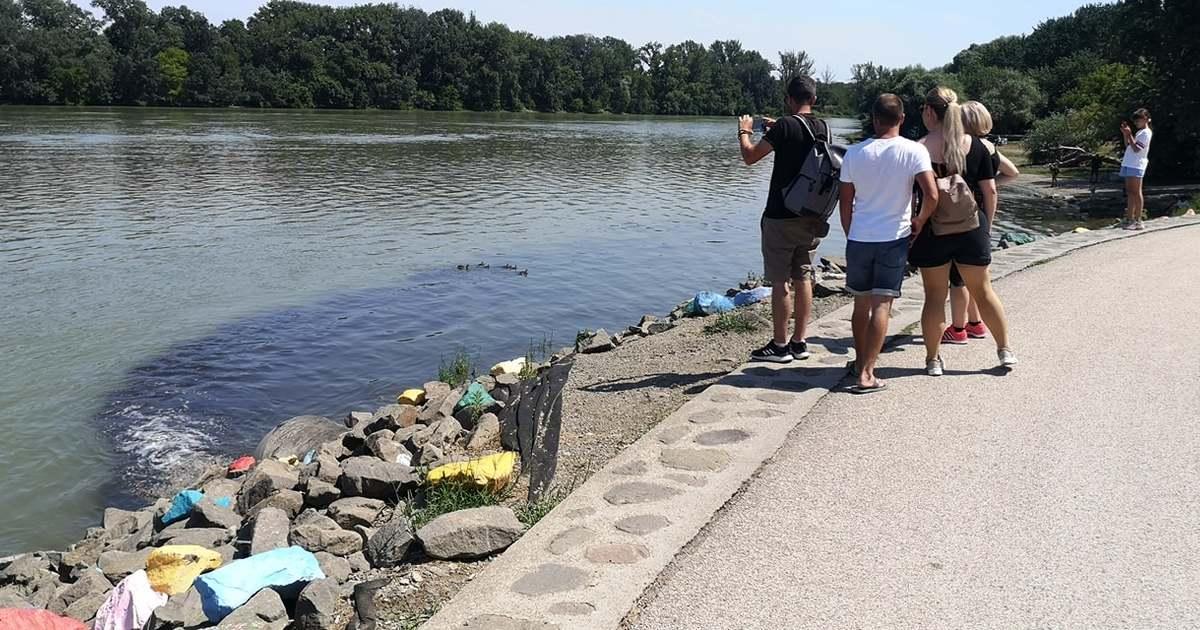 Baloldali szakértelem Szentendrén: egy hete ömlik a szar a Dunába