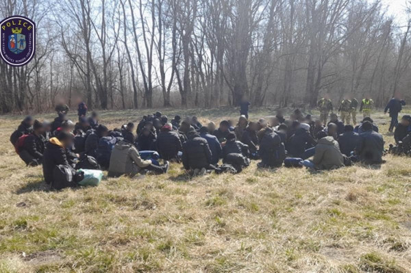 Ma dél körül 77 illegális migránst tartóztattak fel Bács-Kiskun megyében