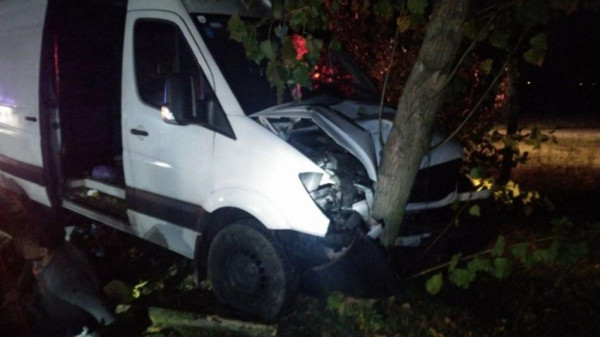 31 migránssal volt teletömve a kisbusz, amikor fának hajtott az szerb embercsempész