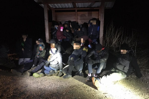 Közös Akció: Cseh és osztrák rendőrökkel együttműködve 81 illegális migránst fogtak hajnalban